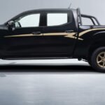 Zhengzhou Nissan Rich Gold