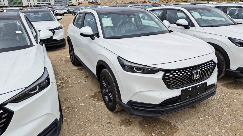 Vehicles assembled at Horgos Port